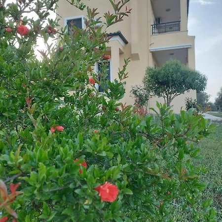 Giovanotta Marmaro *
